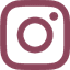 Ícone Instagram