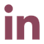 Ícone Linkedin
